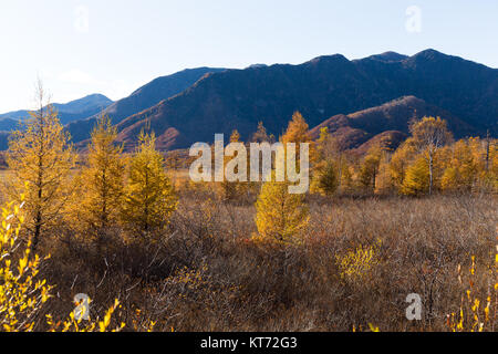 Senjogahara in Nikko di Giappone, splendido paesaggio in autunno Foto Stock