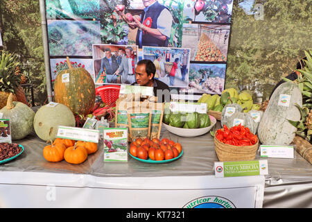 Coltivazione biologica di frutta e verdura di nord-est dell India visualizzazione durante hornbill festival tenutosi a Kohima, Nagaland. Foto Stock