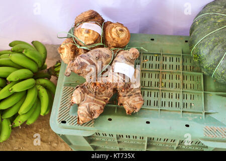 Coltivazione biologica di frutta e verdura di nord-est dell India visualizzazione durante hornbill festival tenutosi a Kohima, Nagaland. Foto Stock