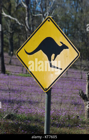 Segno per kangaroo crossing in Australia Foto Stock