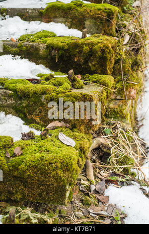 Moss su una vecchia scala di mattoni in inverno Foto Stock