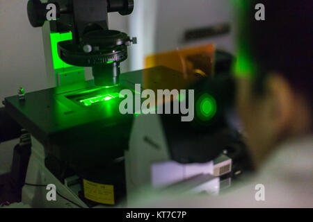 La scienza della vita microscopia ricercatore in genetica laboratorio scientifico. Foto Stock