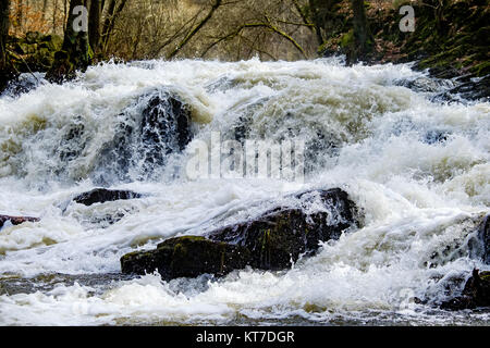 Harz Der Wasserfall Selke bei Alexisbad im Harz mit Hochwasser Foto Stock