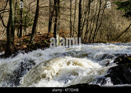 Harz Der Wasserfall Selke bei Alexisbad im Harz mit Hochwasser Foto Stock