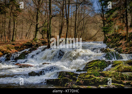 Harz Der Wasserfall Selke bei Alexisbad im Harz mit Hochwasser Foto Stock