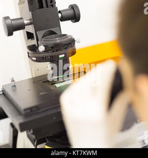 La scienza della vita microscopia ricercatore in genetica laboratorio scientifico. Foto Stock