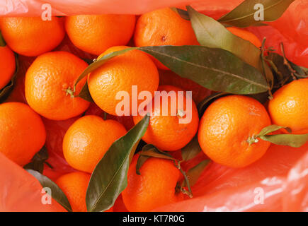 Tangerine frutta cibo Foto Stock