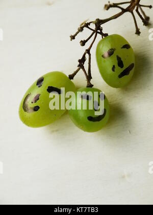Uva di vino con molte espressioni Foto Stock