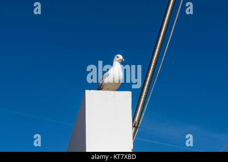 Lagos ist eine Gemeinde in der Algarve, im Süden Portugals. Foto Stock