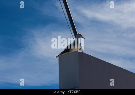 Lagos ist eine Gemeinde in der Algarve, im Süden Portugals. Foto Stock