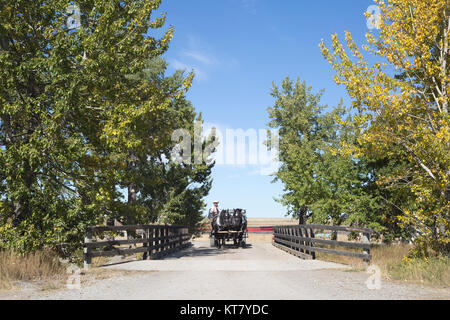 Carrozza trainata da cavalli che serve come taxi turistico locale al Bar U Ranch National Historic Site, attraversando un ponte Foto Stock
