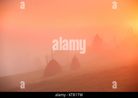 Alba sul campo di montagna. In Haystacks nebbiosa mattina autunnale colline. Foto Stock