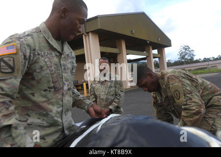 SCHOFIELD caserma, Hawaii - Chief Warrant Officer 3 Gregory Benson, un Airdrop tecnico dei sistemi con il venticinquesimo supporto brigata, supervisiona i soldati della XXV Composite Truck Company, 524th lottare contro il supporto del battaglione di supporto Dicembre 7, come essi cinghia giù truccate basso costo bassa altitudine (LCLA) carica di un carico pallettizzato in sistema di essere trasportati in un volo di linea per una mandata di aria esercizio il giorno seguente. Il LCLA metodo di consegna viene utilizzato per il rifornimento di truppe di terra a meno di costi e una maggiore precisione rispetto a un'altitudine elevata airdrop rendendo il metodo preferito per la luce-peso su Foto Stock