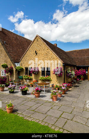 Il magnifico e motivi floreali colorati nei cestini appesi e vasche fuori il Rose and Crown Inn a East Lambrook, Somerset, Inghilterra, Regno Unito Foto Stock