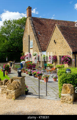 Il magnifico e motivi floreali colorati nei cestini appesi e vasche fuori il Rose and Crown Inn a East Lambrook, Somerset, Inghilterra, Regno Unito Foto Stock