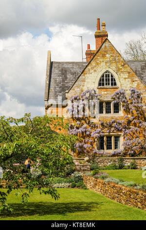 Il Glicine sulle pareti in maggio a Coton Manor Gardens, Northamptonshire, England, Regno Unito Foto Stock
