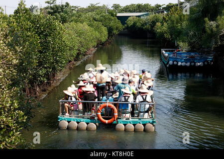 Tour in barca le vele nella foresta di mangrovie, situato nella città di Tainan, Taiwan. Foto Stock