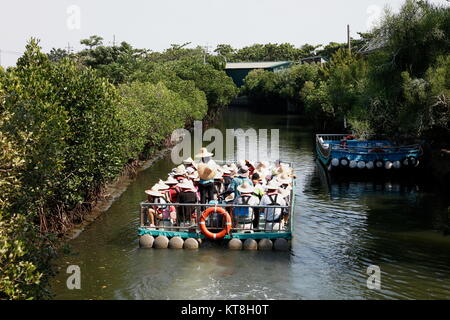 Tour in barca le vele nella foresta di mangrovie, situato nella città di Tainan, Taiwan. Foto Stock