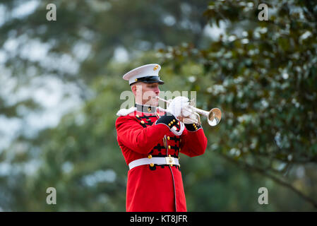 I Marines e la U.S. Marine Band conducono un funerale a pieno titolo presso l'Arlington National Cemetery per il Marine Cpl. Guerriero, morto durante la battaglia di Tarawa del 1943, sezione 60. Foto Stock