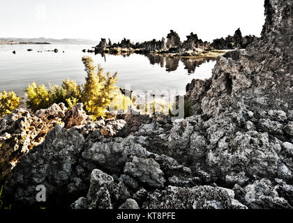 Lago mono con guglie di carbonato di calcio Mono lago tufa Stato riserva California Stato Western Stati Uniti Foto Stock