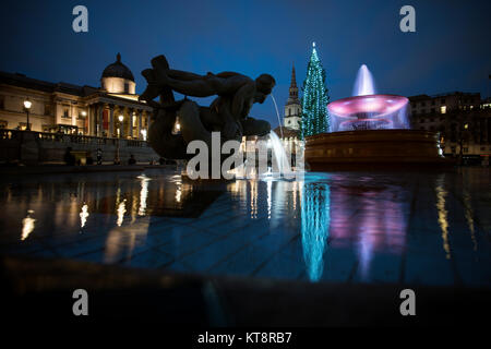 Londra, Regno Unito. Il 21 dicembre, 2017. Il Trafalgar Square Christmas tree è un albero di Natale donato al popolo di Gran Bretagna dalla città di Oslo, Norvegia ogni anno a partire dal 1947. La struttura ad albero viene visualizzata in Trafalgar Square a partire dall'inizio di dicembre fino al 6 gennaio. Il Trafalgar Square albero di Natale è stato un dono annuale per il popolo di Gran Bretagna dalla città di Oslo come segno di riconoscenza per il sostegno britannico alla Norvegia durante la Seconda Guerra Mondiale. Credito: BRIAN HARRIS/Alamy Live News Foto Stock