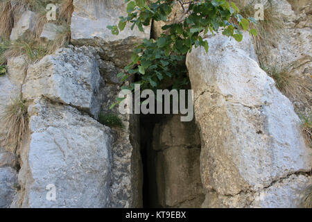 66 WW Monte Cengio Foto Stock