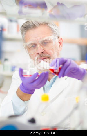 La vita dello scienziato ricerca in laboratorio. Foto Stock