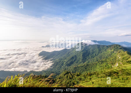 Mattina in Phu Chi fa Forest Park Foto Stock