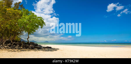 Sabbiosa spiaggia tropicale. Panorama. Foto Stock