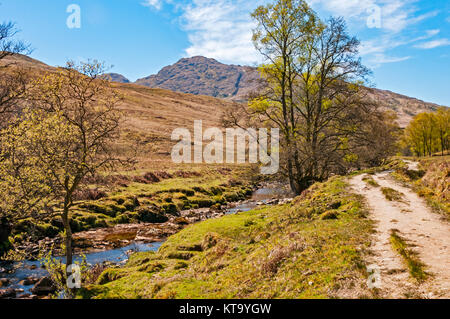 Lo scenario e il sentiero del West Highland Way, Scozia Foto Stock