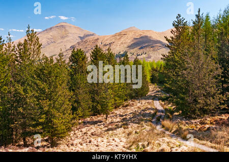 Montagne e alberi lungo la West Highland Way, Scozia Foto Stock