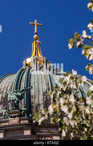 Hauptkuppel des Berliner Dom mit vergoldetem Kreuz Foto Stock