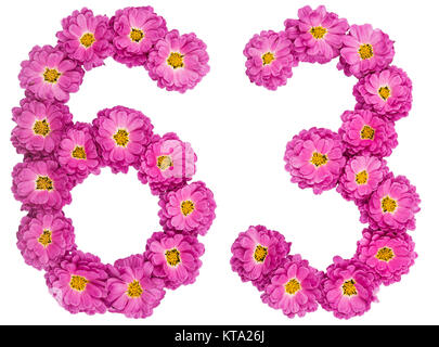 Numero arabo 63, sessanta tre, dai fiori di crisantemo, isolato su sfondo bianco Foto Stock