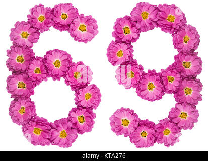 Numero arabo 69, sessanta nove, dai fiori di crisantemo, isolato su sfondo bianco Foto Stock