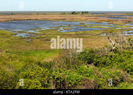 NC01159-00...North Carolina - acqua salata marsh nel Pea Island National Wildlife Refuge situato sulla Outer Banks lungo il bordo di Pamlico Sound. Foto Stock
