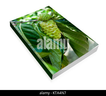 Libro di alcuni frutti di noni Foto Stock