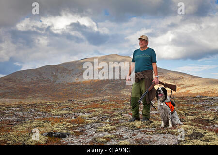 Norwegian cacciatore con fucile da caccia e Setter inglese cane caccia fagiano di monte sulla tundra in autunno, Norvegia Foto Stock