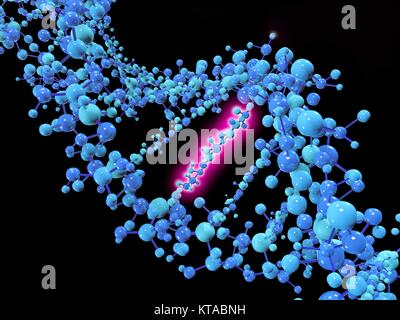 Computer illustrazione grafica raffigurante una mutazione puntiforme. Un punto di mutazione è una mutazione genetica in cui un singolo nucleotide base è cambiato, inseriti o eliminati da una sequenza di DNA o RNA. Le mutazioni di punto hanno una varietà di effetti sulla proteina a valle productâ€"conseguenze che sono moderatamente prevedibile basato su specifiche della mutazione. Tali conseguenze possono variare da benigno (es. sinonimo di mutazioni) catastrofici (ad es. mutazioni di slittamento di fase), per quanto riguarda la produzione di proteina, la composizione e la funzione. Foto Stock