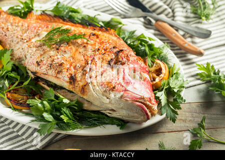 In casa intero grigliato Red Snapper con limoni e aneto Foto Stock
