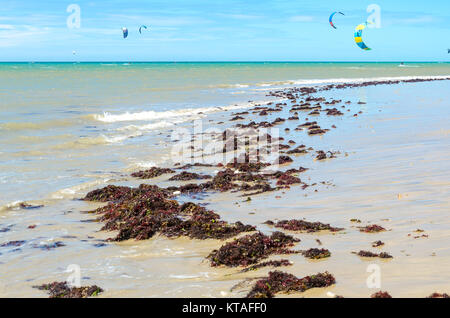 Cumbuco, Brasile, lug 9, 2017: impianto di alghe sulla spiaggia con un sacco di kite surfers sullo sfondo Foto Stock