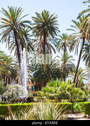 Il verde delle palme nel giardino pubblico di Villa Bonanno Foto Stock