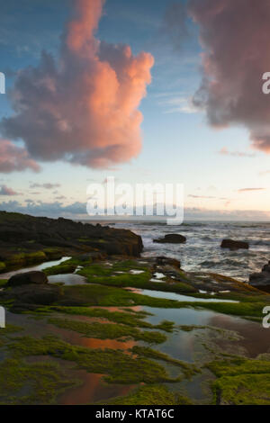 Ultimo colori del tramonto sull'Oceano Pacifico e dell'Oregon costa centrale a Yachats. Foto Stock