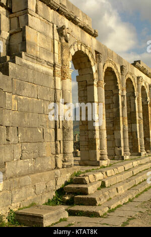 Volubilis Foto Stock