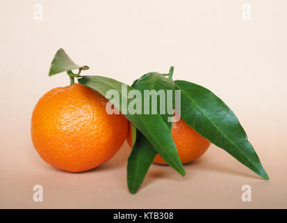 Tangerine frutta cibo Foto Stock