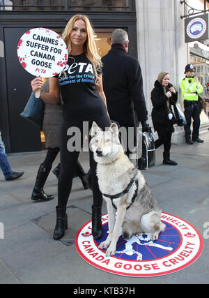 Londra, Regno Unito. 8 dicembre, 2017. Anneka Svenska e il suo compagno canino protesta al di fuori del Canada Goose flagship store in Regent Street per la PETA ha Campai Foto Stock