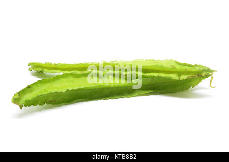 Fagioli alato su sfondo bianco Foto Stock