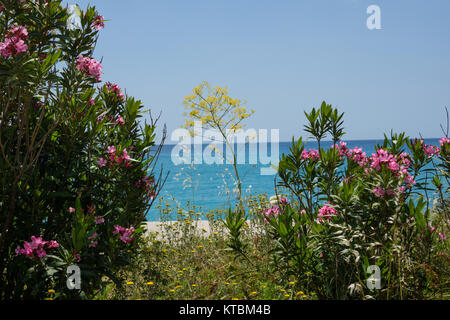 Italienischer Strand in der Vorsaisin Foto Stock