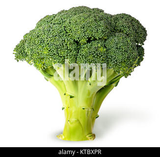 Grandi infiorescenze di broccoli freschi Foto Stock