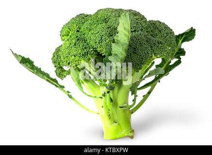 Grandi infiorescenze di broccoli freschi con foglie Foto Stock