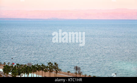 Rosa alba sul Mar Morto in inverno mattina Foto Stock